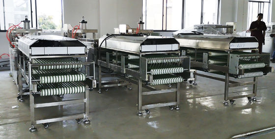 Automatic Arabic Pita Bread Machine Production Line Industrial